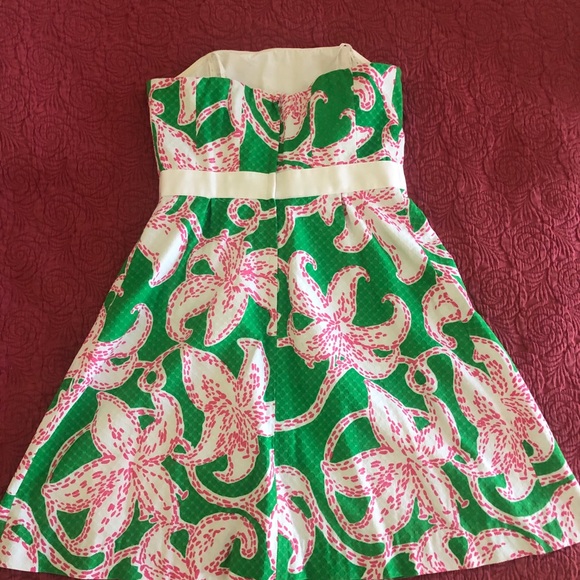 Lovely Lilly Pulitzer Dress - Picture 4 of 4